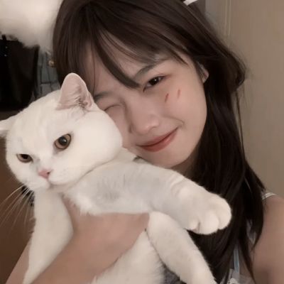 香肠派对vivo手机下载